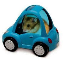 Pet taxi